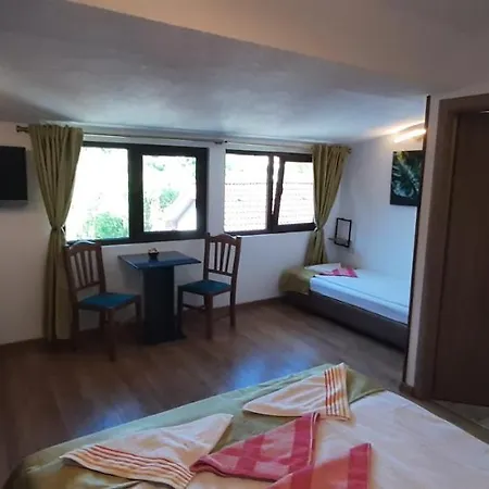 River Star Sangeorgiu de Padure Room photo