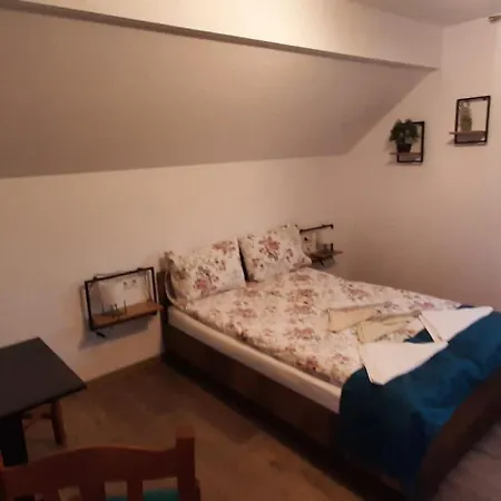 River Star Sangeorgiu de Padure Room photo