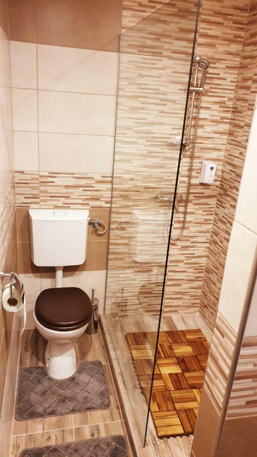 River Star Guest house Sangeorgiu de Padure